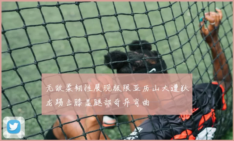 无敌柔韧性展现极限亚历山大遭狄龙踢击膝盖腿部奇异弯曲