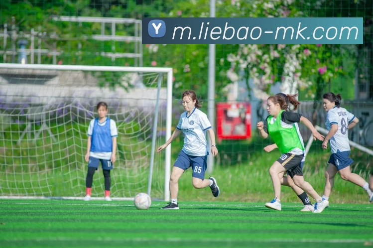 App Interface Preview