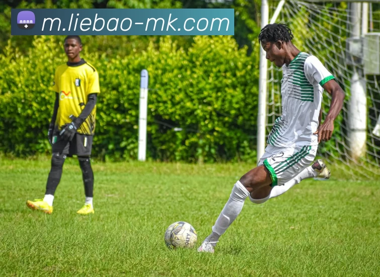 MK体育APP 封面图